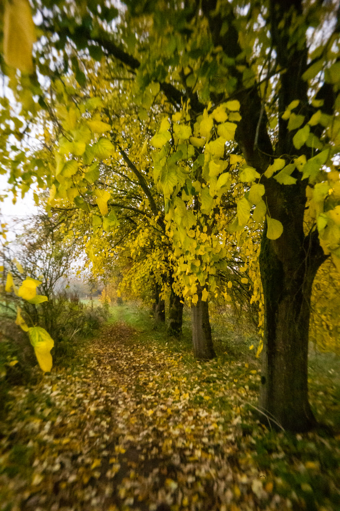 Creative photograph with LPK-M lens