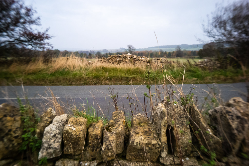 Example image from LPK-M lens