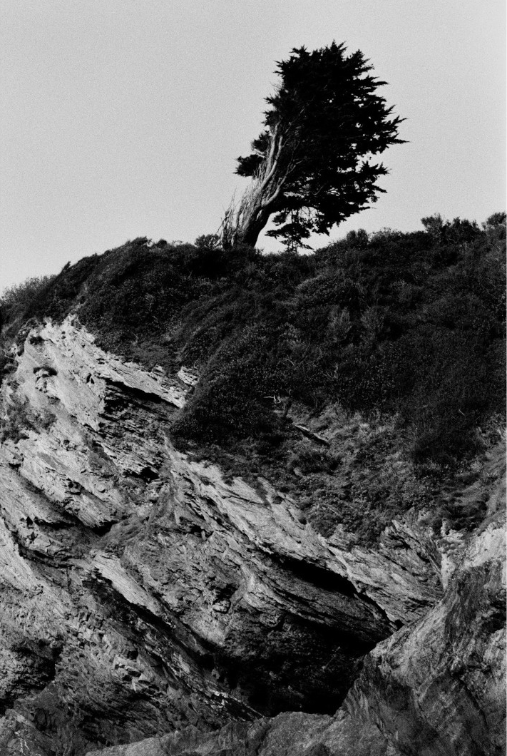 Michelle Hickling photograph