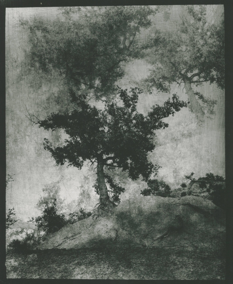 Christophe Boulanger photograph