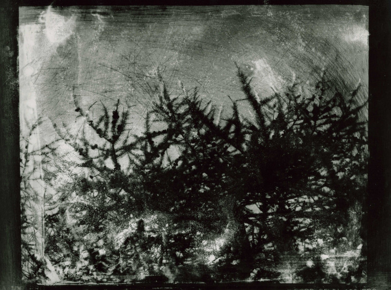 Christophe Boulanger photograph