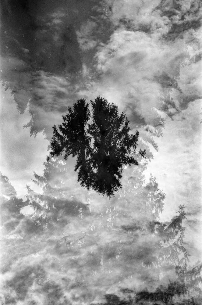 Renato Ghio photograph