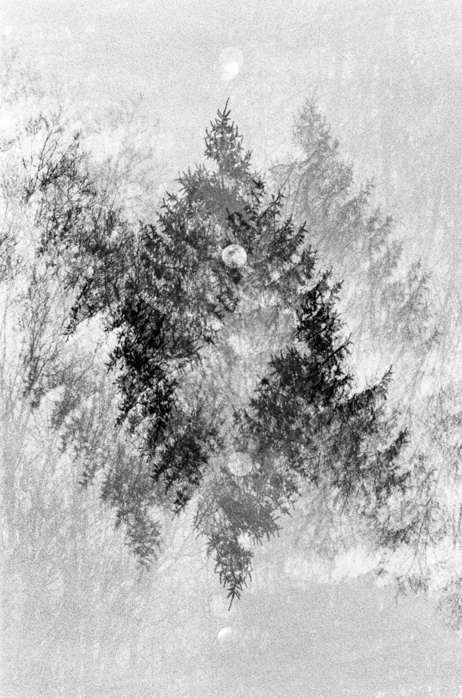 Renato Ghio photograph