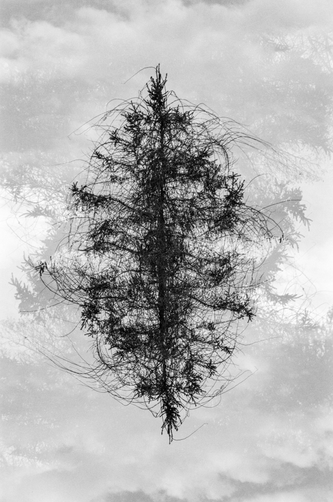 Renato Ghio photograph